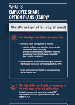 Infosheet: What Is Employee Share Option Plans?